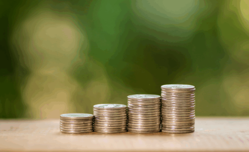 Gagner de l'argent grâce à l'audit fiscal des experts Cemafa