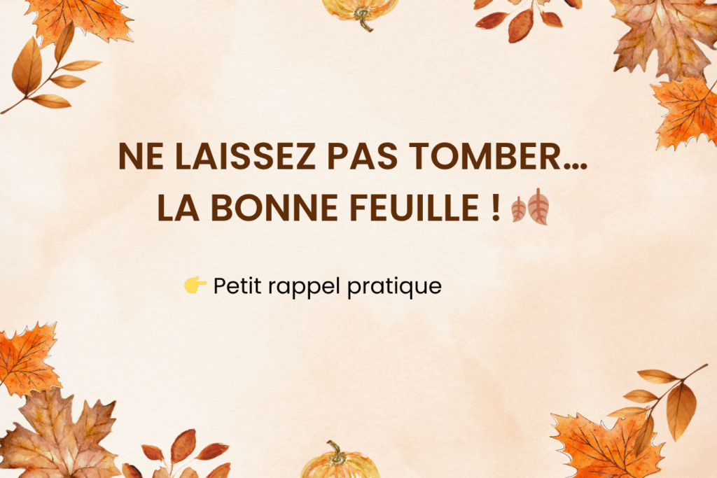Ne laissez pas tomber… la bonne feuille ! 🍂