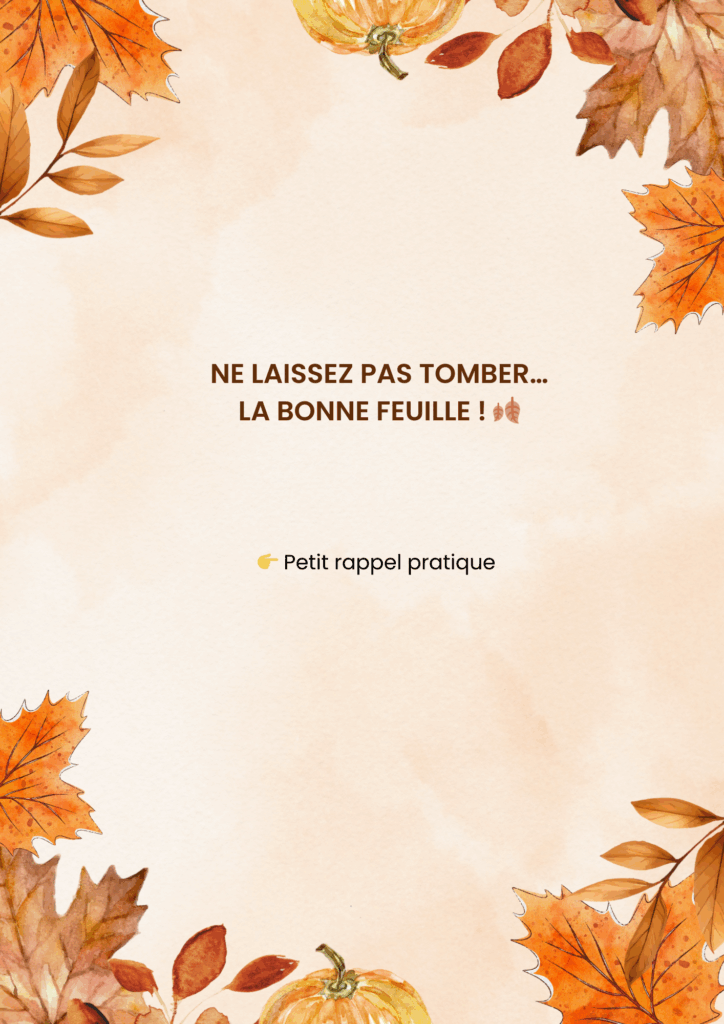 Ne laissez pas tomber… la bonne feuille ! 🍂